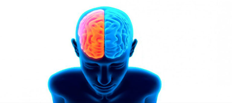 La NEUROPLASTICIDAD y como está relacionada con nuestro desarrollo cerebral.