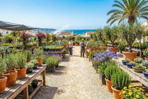 Viveros especializados en Estepona: La clave para un jardín perfecto en la Costa del Sol